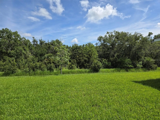 14425 Maiden Ter, Lakewood Ranch, FL 34211 - view of yard featuring a wooded view