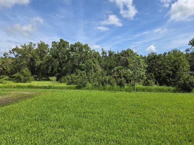 14425 Maiden Ter, Lakewood Ranch, FL 34211 - view of yard