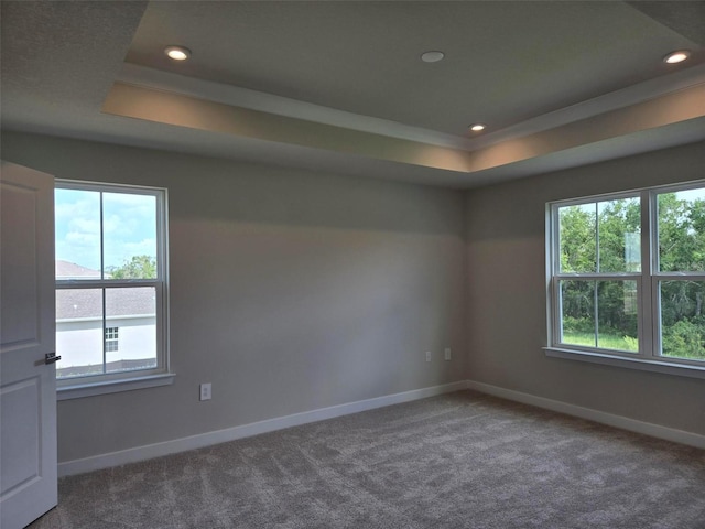 14425 Maiden Ter, Lakewood Ranch, FL 34211 - carpeted spare room with a tray ceiling and recessed lighting