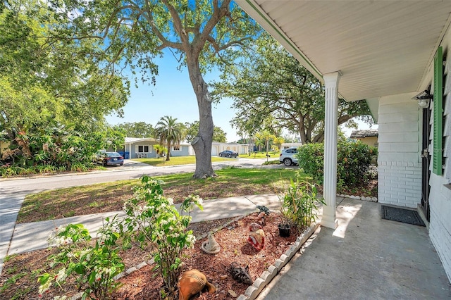 3118 Lloyd Dr, Holiday, FL 34691 - photo 8