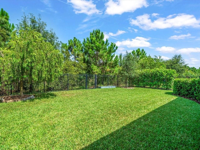 6130 Colmar Pl, Apollo Beach, FL 33572 - view of yard