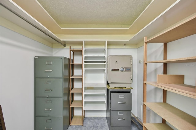 2101 Sunset Point Rd Unit 201, Clearwater, FL 33765 - walk in closet featuring carpet