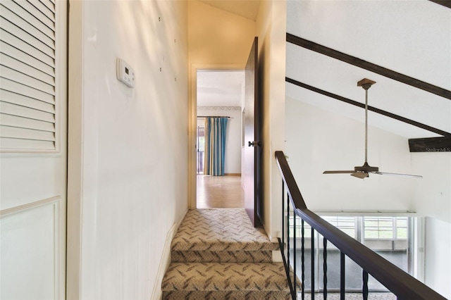2101 Sunset Point Rd Unit 201, Clearwater, FL 33765 - staircase featuring vaulted ceiling, ceiling fan, and carpet flooring