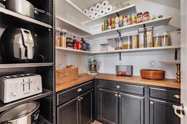 1783 Oak Hammock Ct, Lutz, FL 33558 - view of storage area