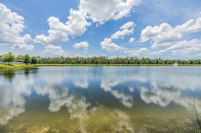 1783 Oak Hammock Ct, Lutz, FL 33558 - water view