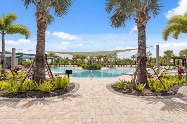 33466 Landsman Loop, Wesley Chapel, FL 33543 - view of community pool