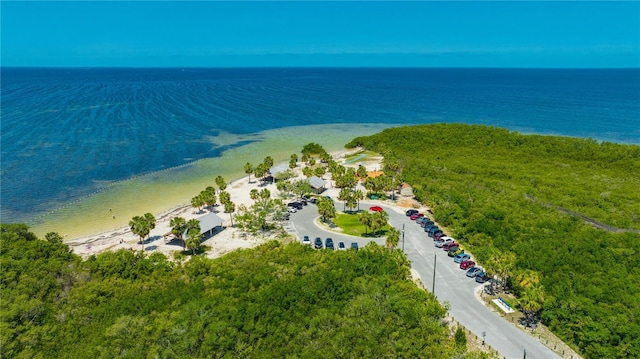 2048 Ground Squirrel Dr, New Port Richey, FL 34655 - bird's eye view of expansive beach