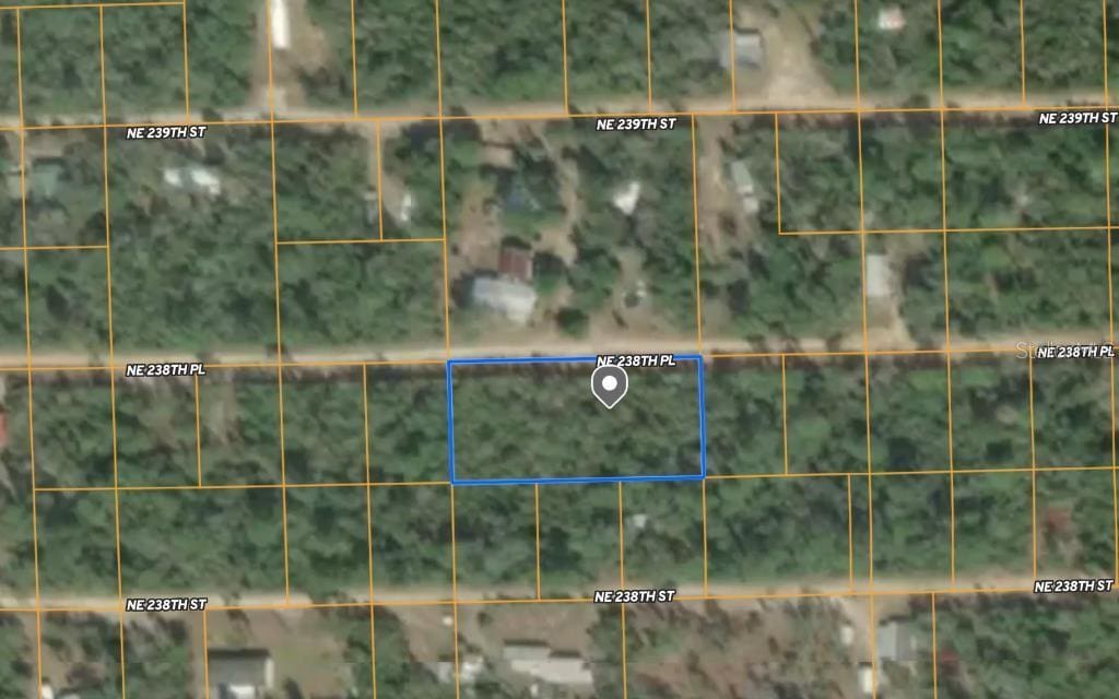 25 NE 238th Pl, Fort Mc Coy, FL 32134