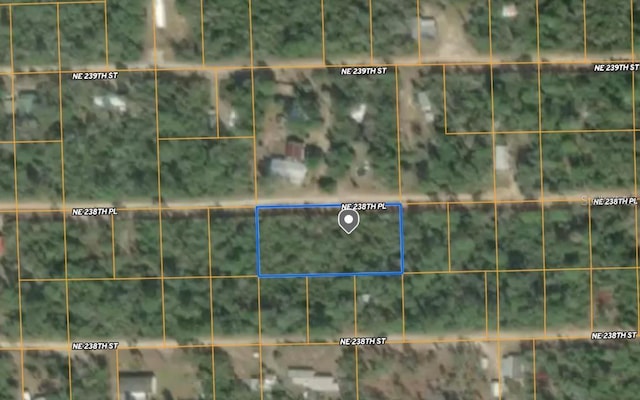 25 NE 238th Pl, Fort Mc Coy, FL 32134