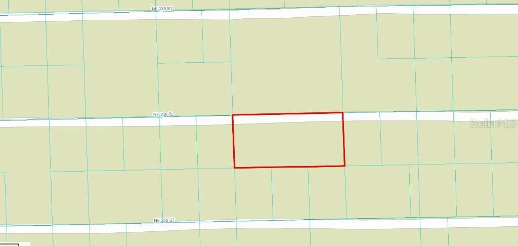 25 NE 238th Pl, Fort Mc Coy, FL 32134