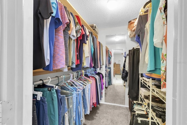 7701 Anaheim Ave, New Port Richey, FL 34655 - walk in closet featuring carpet flooring