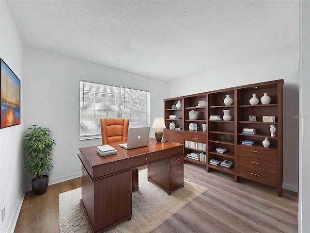 3712 Trophy Blvd Unit 3712, New Port Richey, FL 34655 - office space featuring light wood finished floors and baseboards
