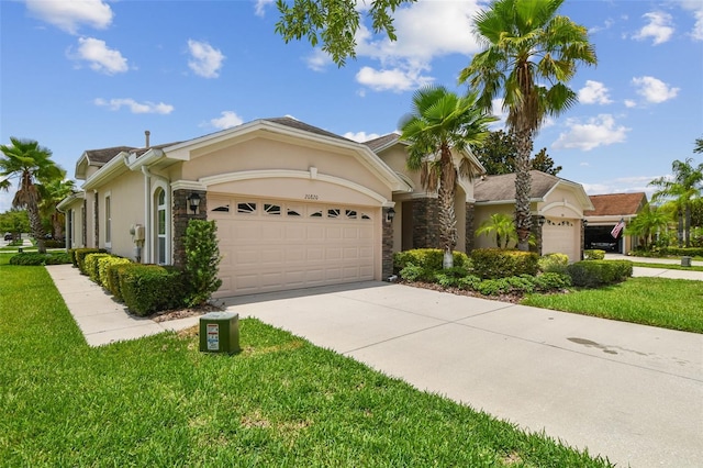 20820 Amanda Oak Ct, Land O Lakes, FL 34638 - view of front of home with stucco siding, an attached garage, a front yard, stone siding, and driveway