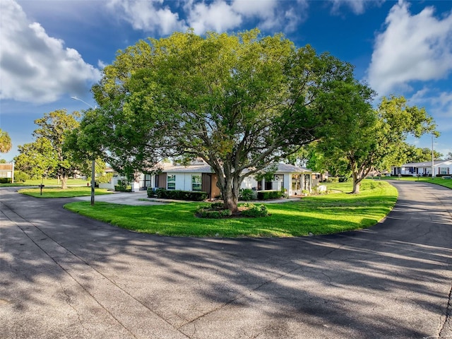 8130 Bugle Ct Unit 3, Port Richey, FL 34668 - view of property hidden behind natural elements featuring a front yard