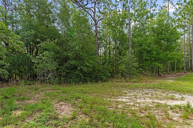 0 Sand Plover Ave, Weeki Wachee, FL 34614