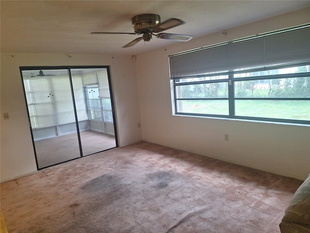 4420 Sawgrass Blvd, New Port Richey, FL 34653 - carpeted spare room with a ceiling fan