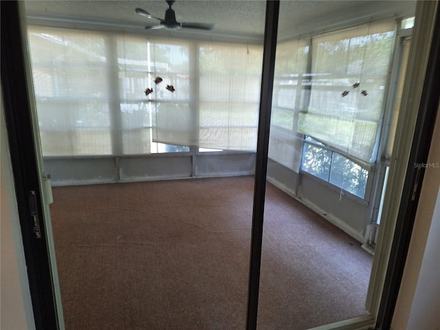 4420 Sawgrass Blvd, New Port Richey, FL 34653 - unfurnished sunroom featuring carpet and a textured ceiling