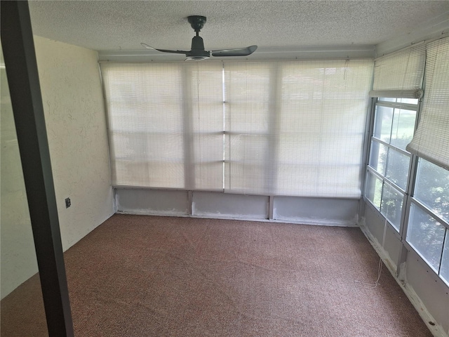 4420 Sawgrass Blvd, New Port Richey, FL 34653 - view of unfurnished sunroom