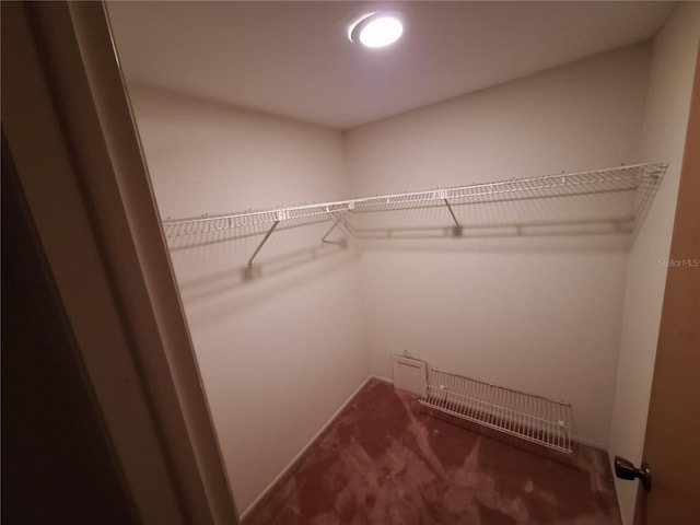 4420 Sawgrass Blvd, New Port Richey, FL 34653 - walk in closet featuring carpet flooring