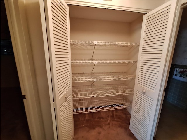 4420 Sawgrass Blvd, New Port Richey, FL 34653 - view of closet