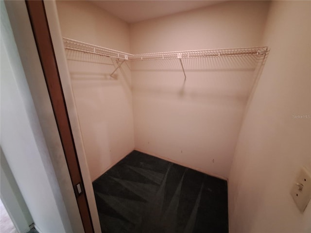 4420 Sawgrass Blvd, New Port Richey, FL 34653 - spacious closet featuring carpet flooring