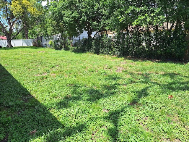 4420 Sawgrass Blvd, New Port Richey, FL 34653 - view of yard