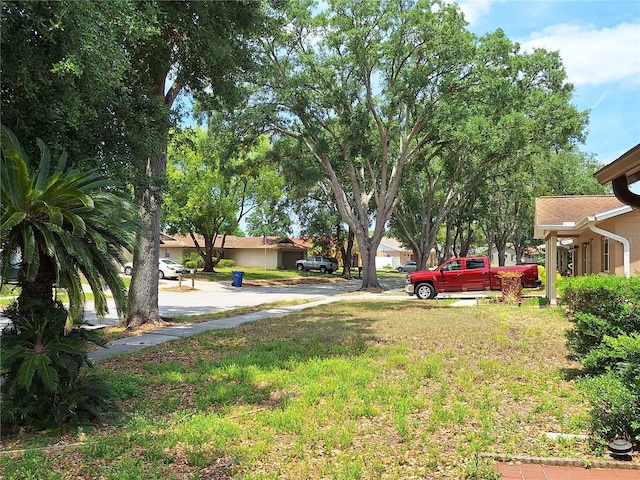 4420 Sawgrass Blvd, New Port Richey, FL 34653 - view of yard