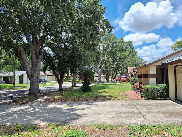 4420 Sawgrass Blvd, New Port Richey, FL 34653 - view of yard