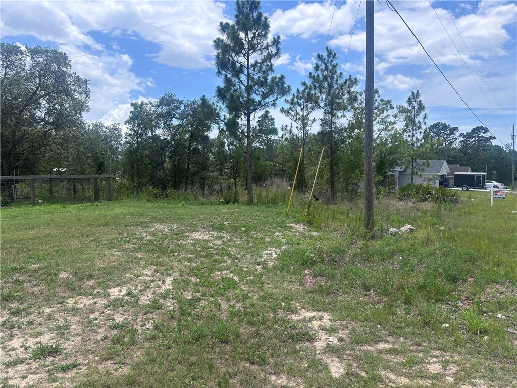 Nusser Ave, Weeki Wachee, FL 34613 - photo 3