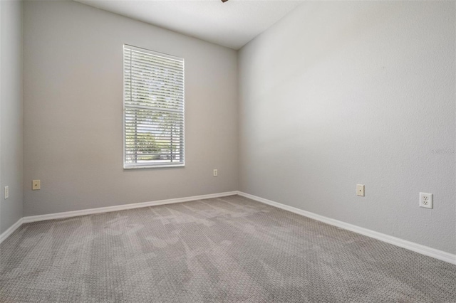 10115 Ringling St, New Port Richey, FL 34655 - photo 19