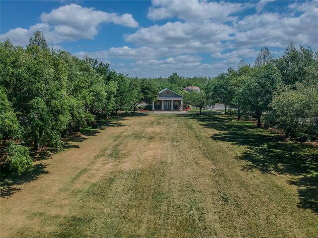 10115 Ringling St, New Port Richey, FL 34655 - photo 36