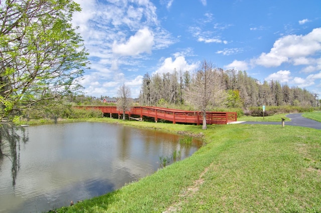 10115 Ringling St, New Port Richey, FL 34655 - photo 49