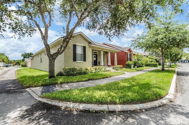 10115 Ringling St, New Port Richey, FL 34655 - photo 28