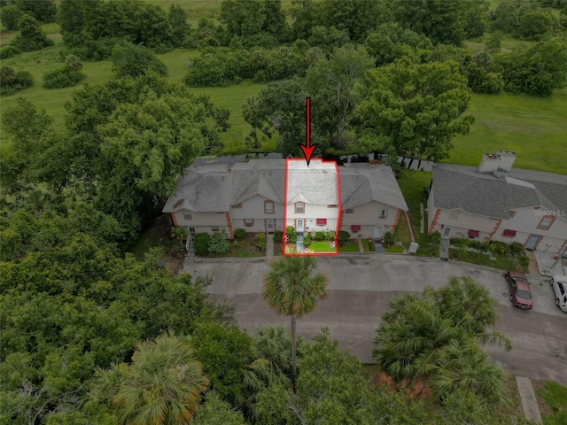 7133 Trenton Pl, New Port Richey, FL 34653 - photo 4