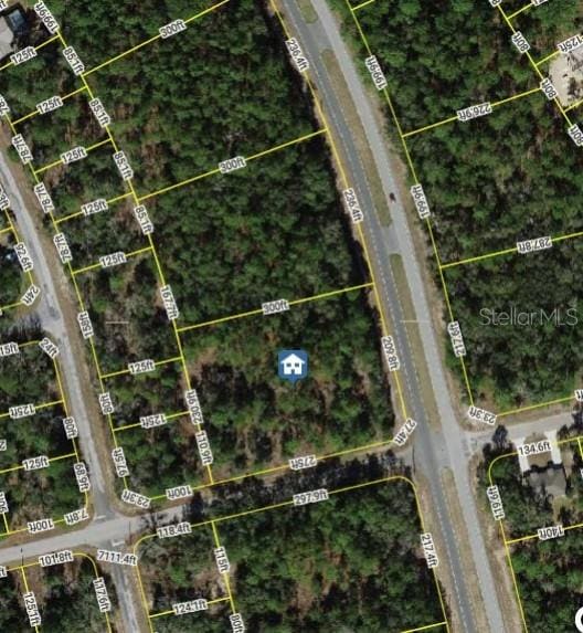 1287 W Evergreen Dr, Citrus Springs, FL 34434 - photo 3