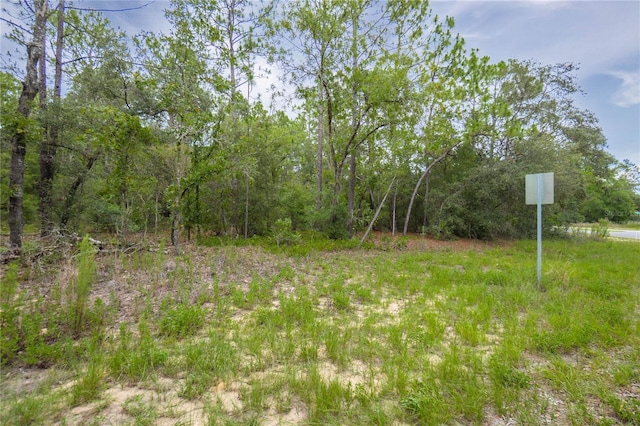 1287 W Evergreen Dr, Citrus Springs, FL 34434 - photo 4