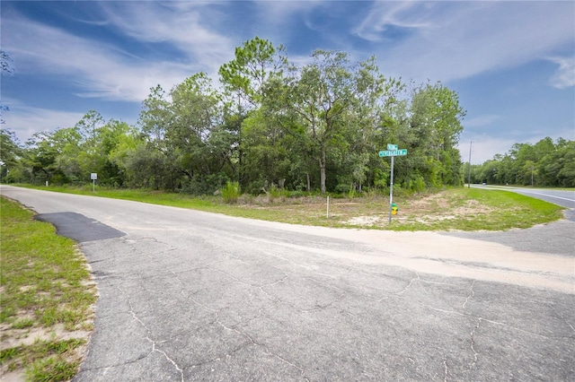 1287 W Evergreen Dr, Citrus Springs, FL 34434 - photo 8