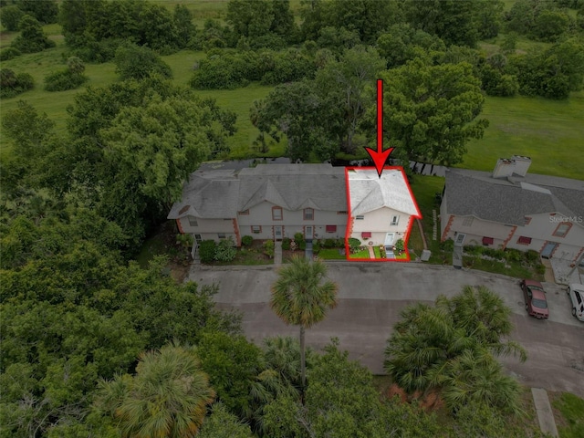 7135 Trenton Pl, New Port Richey, FL 34653 - photo 5