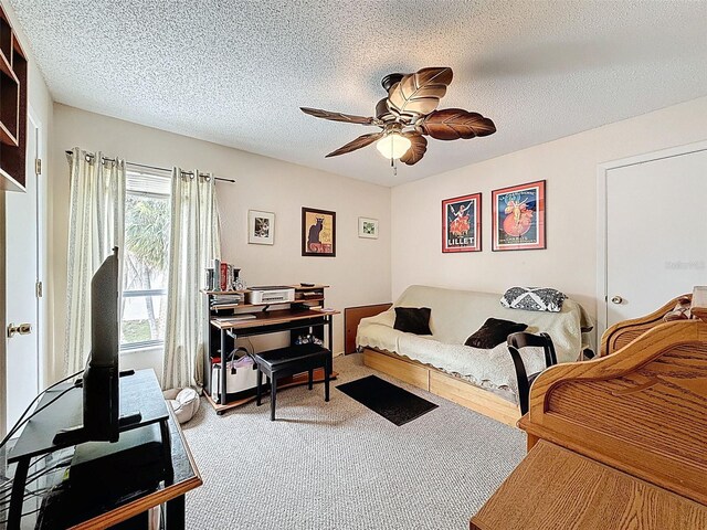 7135 Trenton Pl, New Port Richey, FL 34653 - photo 22