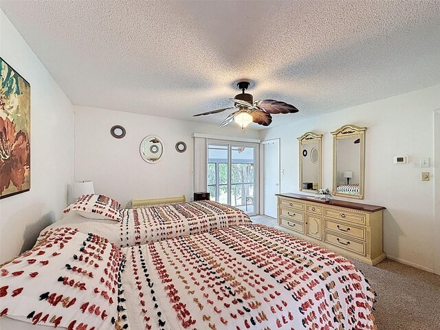7135 Trenton Pl, New Port Richey, FL 34653 - photo 28