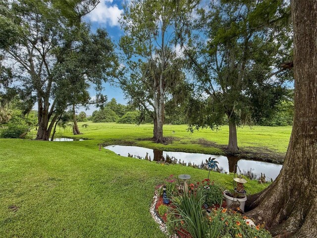7135 Trenton Pl, New Port Richey, FL 34653 - photo 41