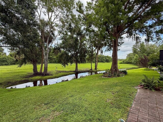 7135 Trenton Pl, New Port Richey, FL 34653 - photo 44