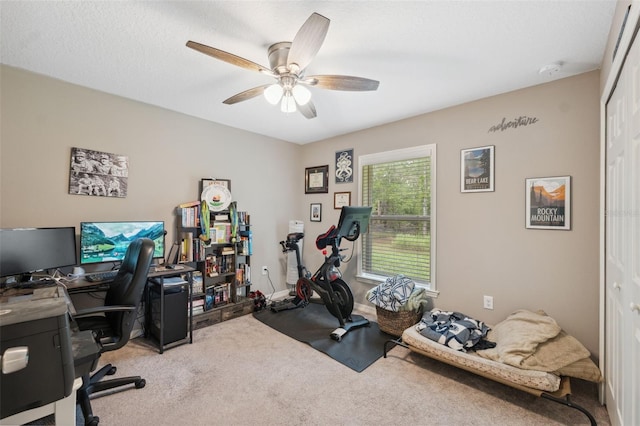 11034 Flock Ave, Weeki Wachee, FL 34613 - carpeted office with a ceiling fan