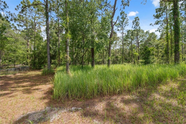 11034 Flock Ave, Weeki Wachee, FL 34613 - view of woods