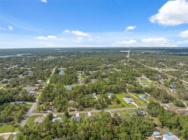 11034 Flock Ave, Weeki Wachee, FL 34613 - aerial view of property and surrounding area featuring a heavily wooded area