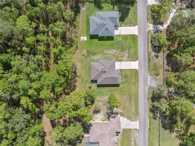 11034 Flock Ave, Weeki Wachee, FL 34613 - drone / aerial view