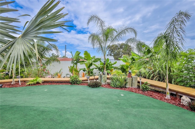 view of yard with an area to practice putting