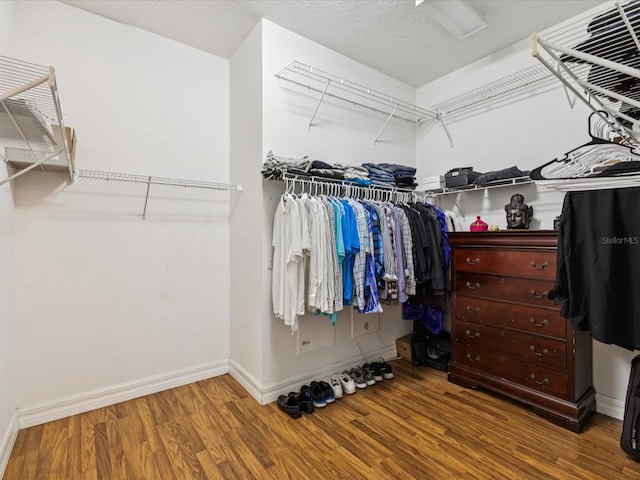 4481 Birchfield Loop, Spring Hill, FL 34609 - spacious closet featuring wood finished floors