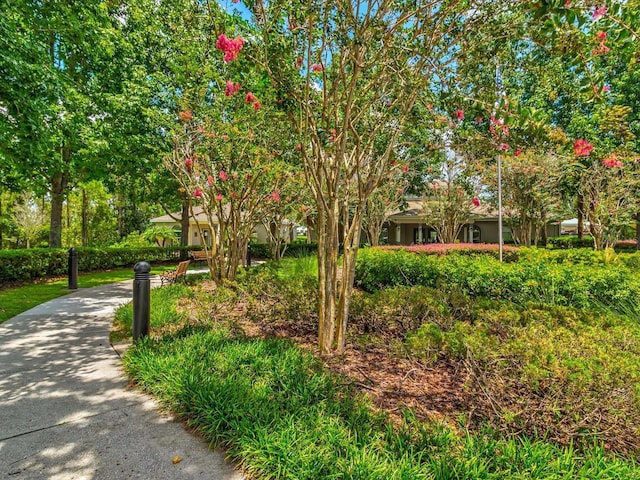 4481 Birchfield Loop, Spring Hill, FL 34609 - view of community