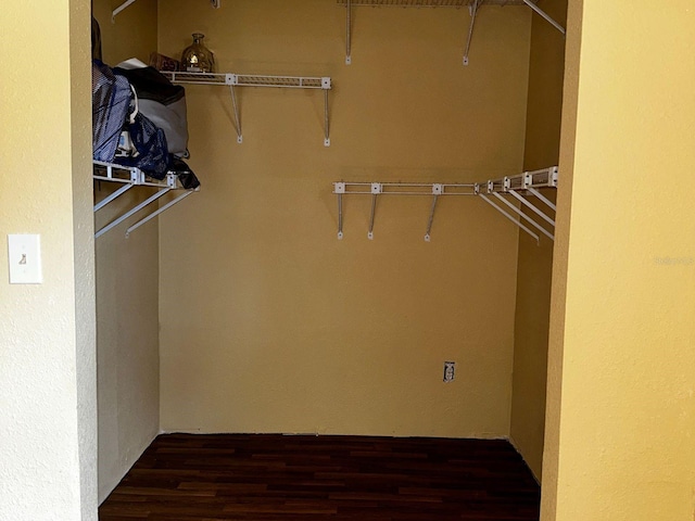 723 W Bayshore Dr, Tarpon Springs, FL 34689 - spacious closet with wood finished floors